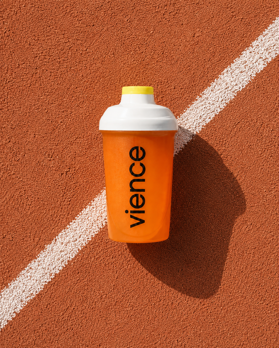 Vience Shaker